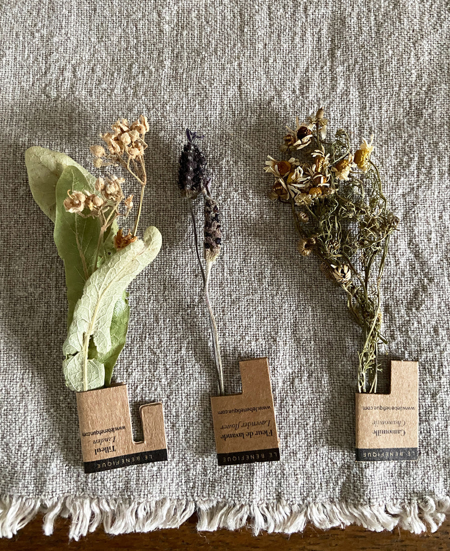 Le Bénéfique / Sultan Box (Mixed of 6 organic herbal tea stems)