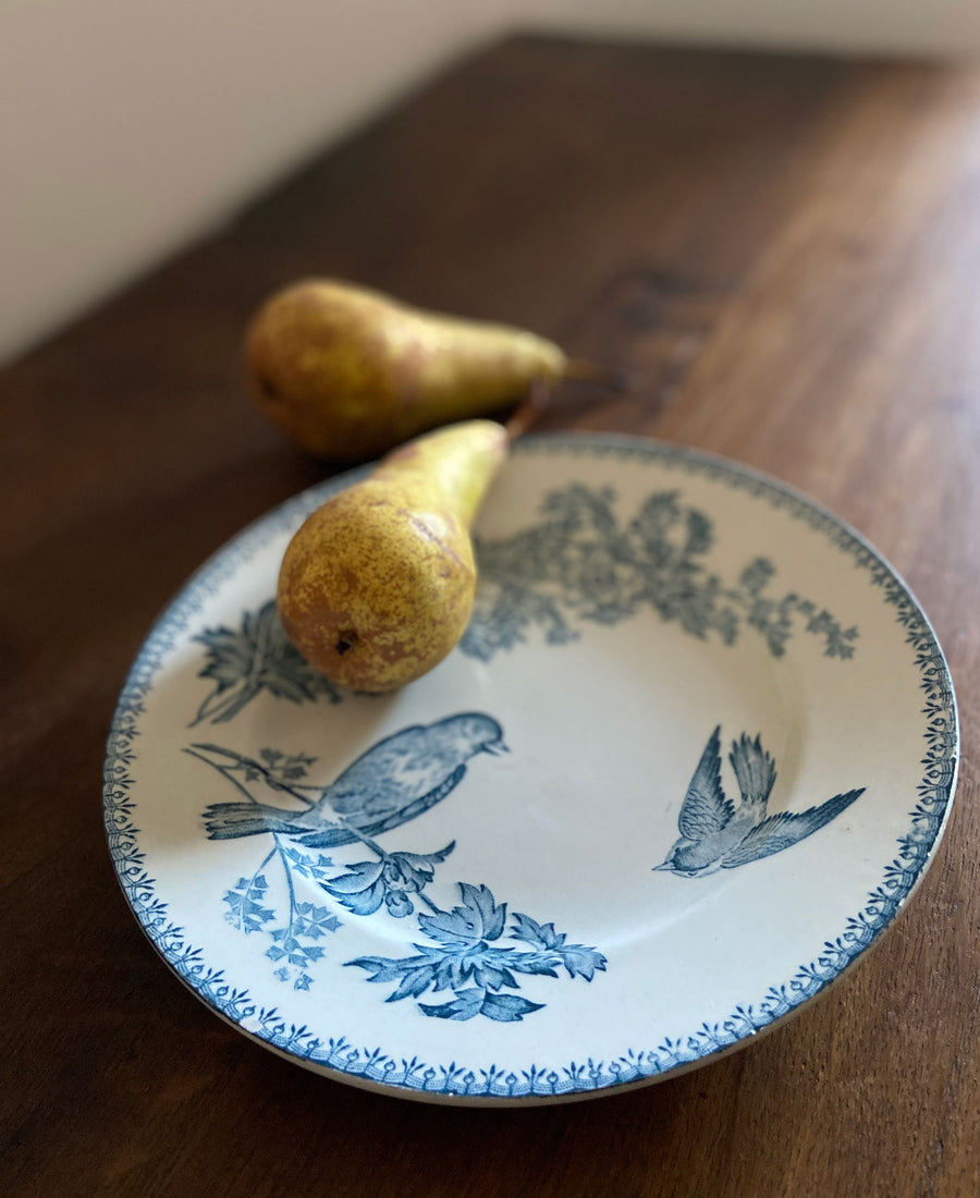 Antique/Vintage / Assiettes creuses (oiseau bleu-A)