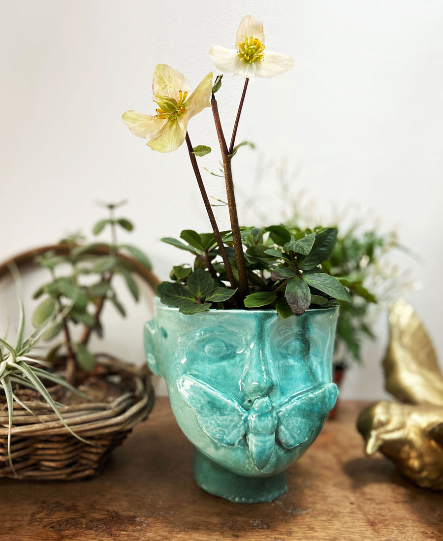 Bello et Bello / Pot de fleur Apollon (Green Apollon)
