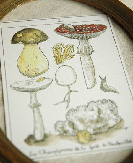 Michiyo Yamashita / la carte des champignons