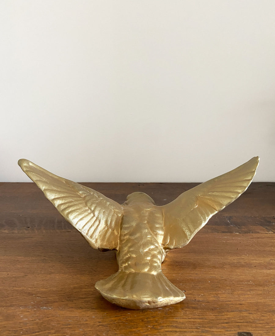 Bello et Bello / Oiseau Ciron Doré (Golden Ciron bird)