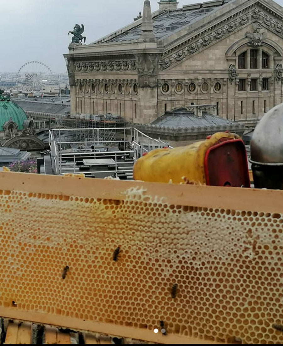 Les Nougats de Paris / Bonbons au miel de Paris (130g)